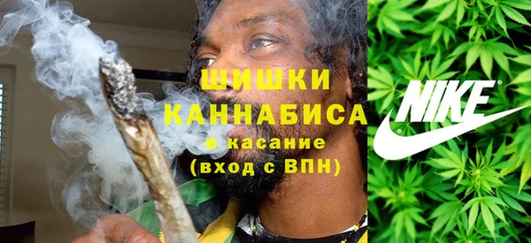 сатива Белоозёрский
