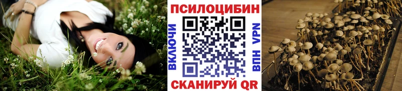 Галлюциногенные грибы Cubensis  сайты даркнета Telegram  Курганинск 